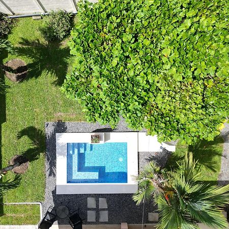 Oasis Arenal Villa Pool & Arenal Volcano View La Fortuna Exteriör bild